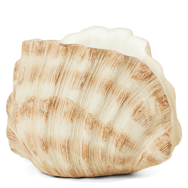 Seashell Scentsy warmer